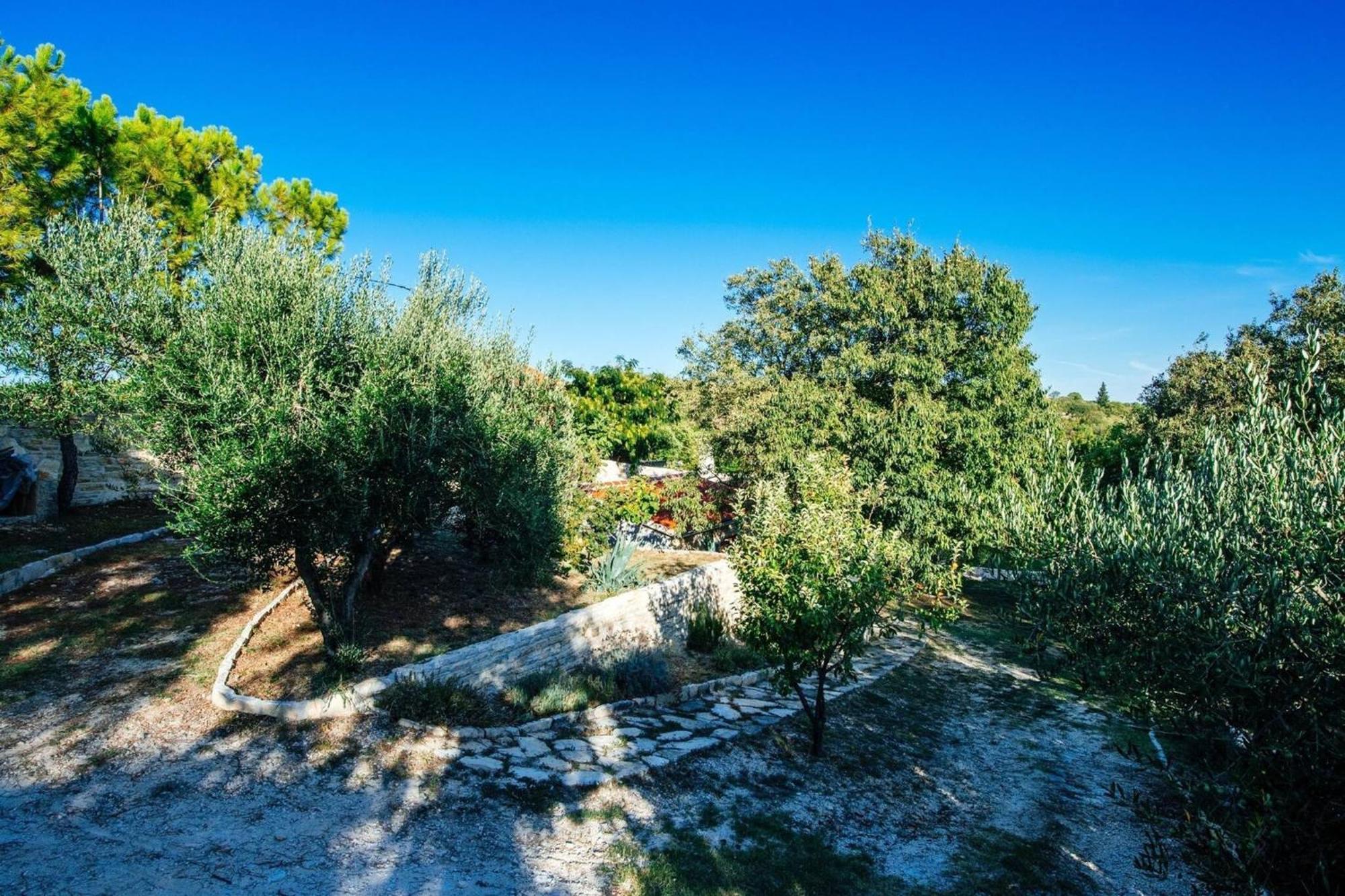 My Dalmatia - Holiday Home Korlat With Private Pool Benkovac Ngoại thất bức ảnh